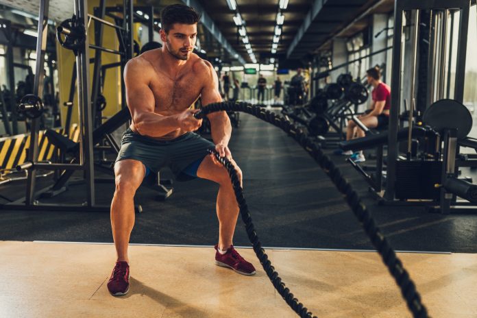 Qu'est-ce que la créatine monohydrate ?