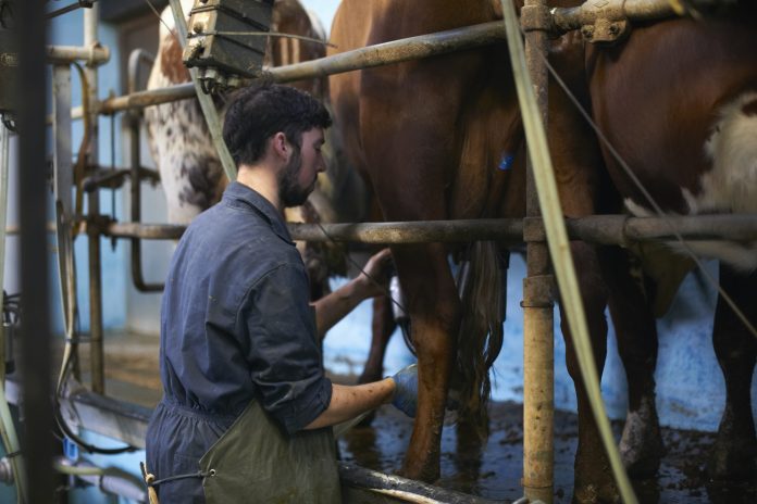 Infolabo - Système interprofessionnel pour producteurs et laiteries