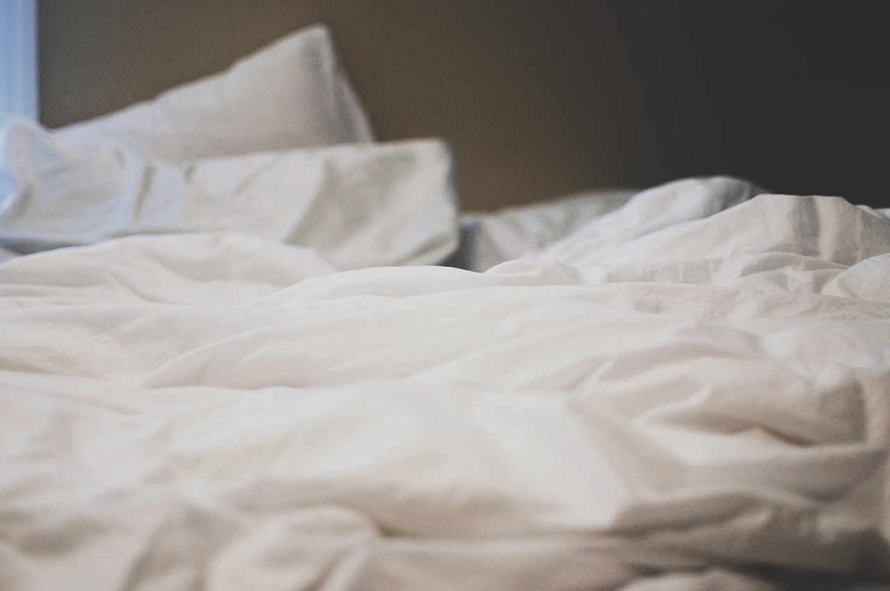 Comment se débarrasser des punaises de lit Comment-se-debarrasser-des-punaises-de-lit