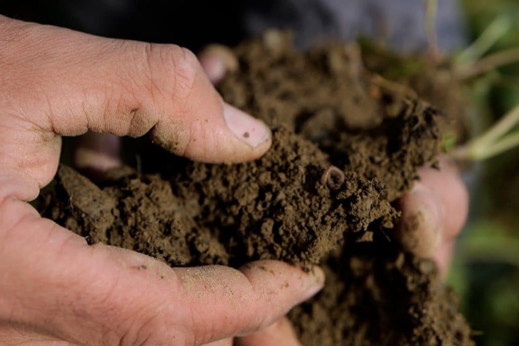 Comment créer un jardin bio dans votre espace extérieur ? 10 astuces pour des cultures respectueuses de l'environnement
