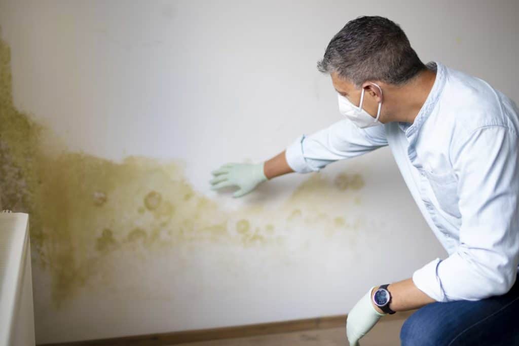 Guide complet pour prévenir les moisissures après des travaux de rénovation