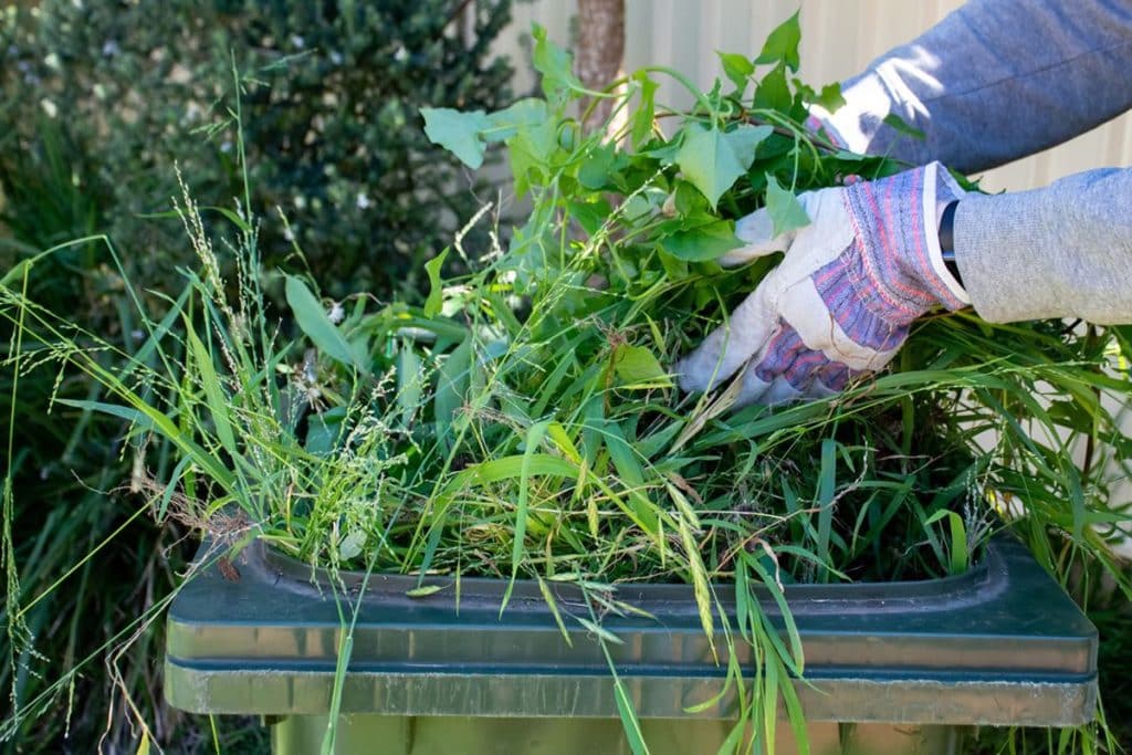 Comment créer un jardin bio dans votre espace extérieur ? 10 astuces pour des cultures respectueuses de l'environnement
