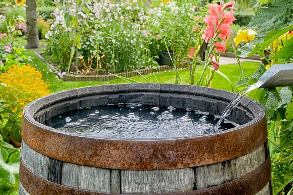 Comment créer un jardin bio dans votre espace extérieur ? 10 astuces pour des cultures respectueuses de l'environnement