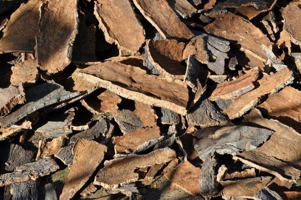Rénovation durable : 10 matériaux écologiques pour un foyer respectueux de l'environnement