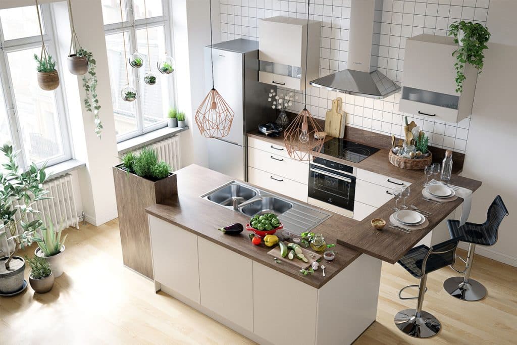 Décorer avec des plantes d'intérieur : découvrez 05 espèces adaptées à chaque pièce de la maison