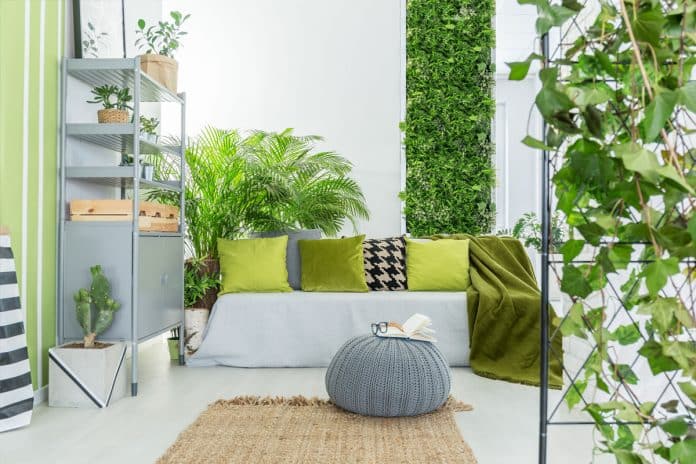 Un salon lumineux avec des plantes d'intérieur et des coussins verts Un salon lumineux avec des plantes d'intérieur et des coussins verts