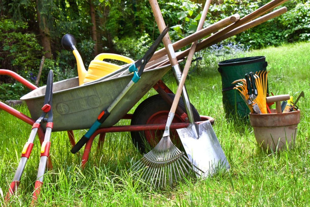 Créer un jardin bio dans votre espace extérieur : voici 10 astuces pour des cultures respectueuses de l'environnement