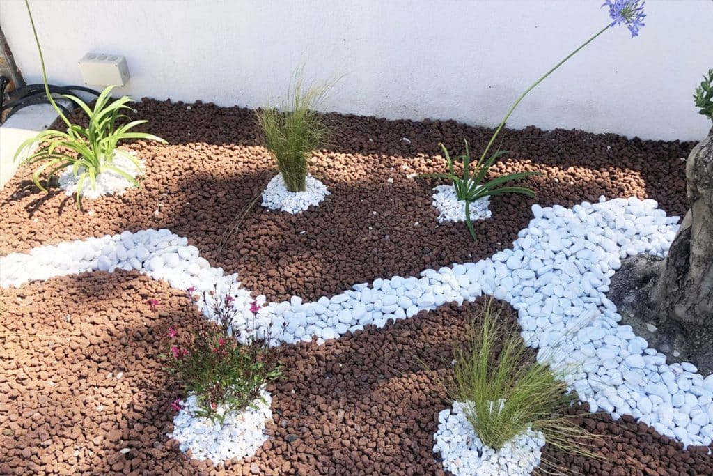 Créer un jardin bio dans votre espace extérieur : voici 10 astuces pour des cultures respectueuses de l'environnement