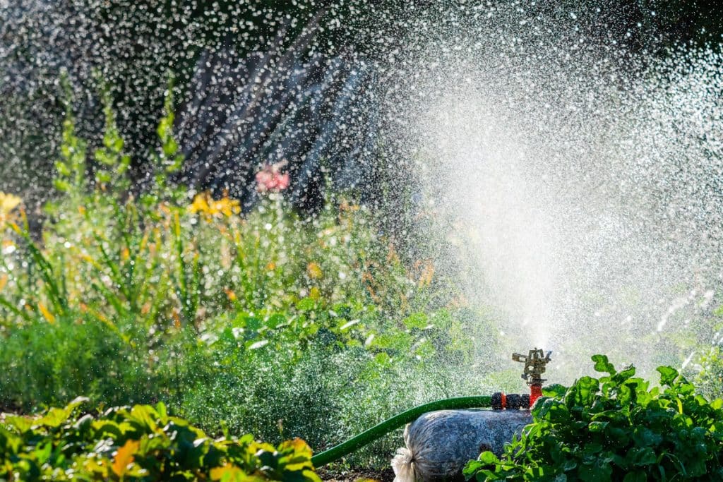 Créer un jardin bio dans votre espace extérieur : voici 10 astuces pour des cultures respectueuses de l'environnement