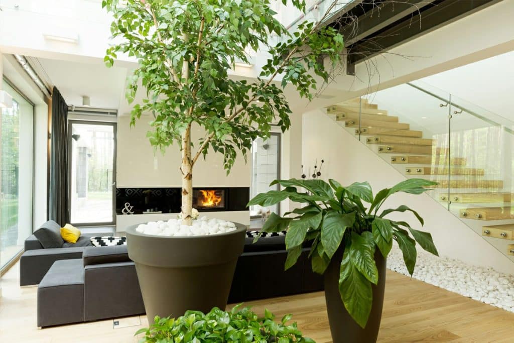 Comment faire une décoration intérieure écologique pour un foyer respectueux de l'environnement ?