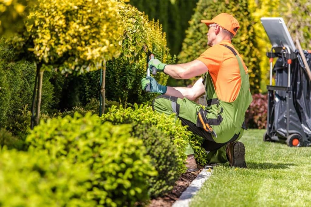 Créer un jardin bio dans votre espace extérieur : voici 10 astuces pour des cultures respectueuses de l'environnement