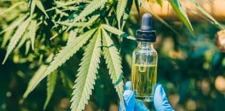 Fleur CBD pas cher : comment trouver un bon rapport qualité-prix ? Fleur CBD