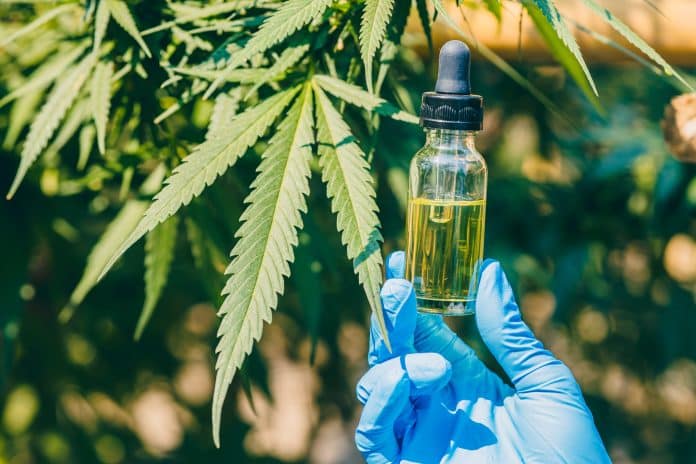Fleur CBD