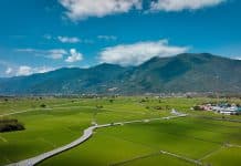 Le café taïwanais : comment une île sans tradition caféière est devenue l’une des origines les plus chères du monde Café taiwanais