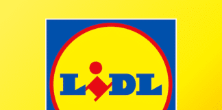 We Are Lidl : accéder à Mon Espace RH et vos bulletins de paie Lidl Espace RH
